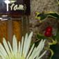 'Tramp' perfume