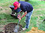 Making a water feature
