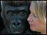 Kera with keeper - pic by Peter Budd/Bristol Zoo Gardens