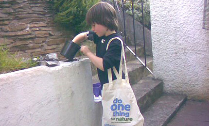 Seed Planting