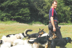 dogtrainer.jpg