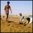 دبامونوڅڅېدل
