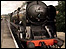 The Watercress Line