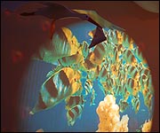 Fish projection