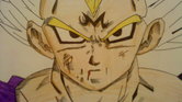 Majin Vegeta...