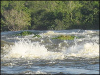 Amazon în Guyana