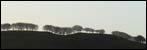 Landescape