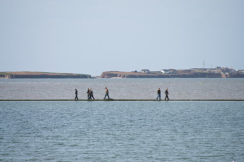 Hilbre island