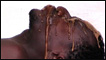 Bamako Encounters