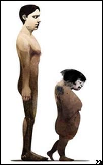 人类进化
