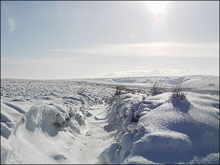 Exmoor