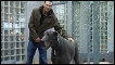 Giant George e seu dono, Dave Nasser