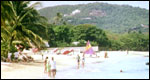 Beach scene