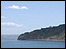 Durlston Bay - Carlotta Barrow