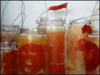 Fire Jar Workshops