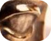 whataward.jpg