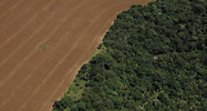 Soya cultivation, Mato Grosso