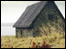A cottage in the countryside