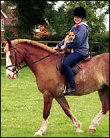 Riding a pony
