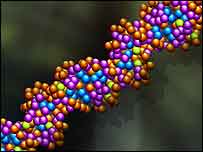 DNA