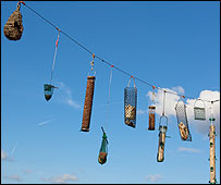10_hanging_203.jpg