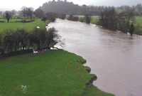 Afon Tywi 