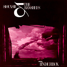 Review of Tinderbox