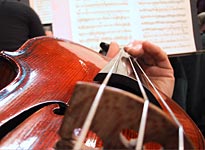 Violin