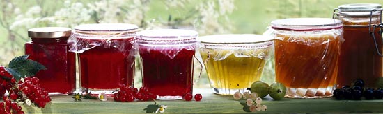 jam jars
