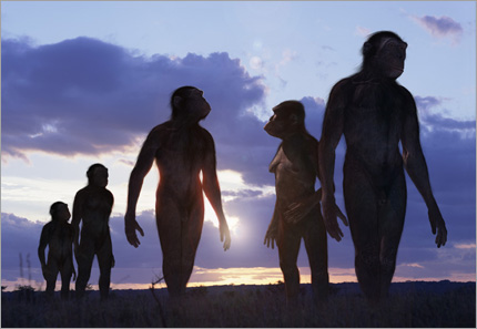 Our ancestors