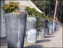 10plantpots.jpg