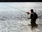 Angler