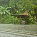 Shelter from the rain