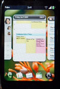 palm300.jpg