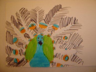 Peacock
