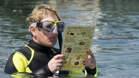 julie_reading.jpg