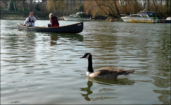 oneplanet_canoe_600.jpg