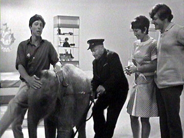 elephant.JPG