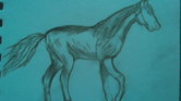 Just a horse...