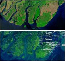 Bản đồ