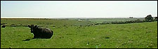 Harford Moor