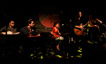 Kitty, Daisy and Lewis