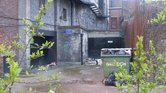 Urban Eden