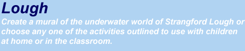 Countryside - create a mural of the underwater world of Strangford Lough or choose any one of the activities outlined to use with children at home or in the classroom