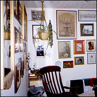 The junk collection