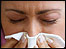 Hayfever factsheet