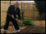 Allotment gardener