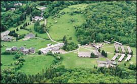 colomendy