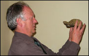 Mr Ryder and the tortoise