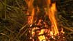wood fire outdoors